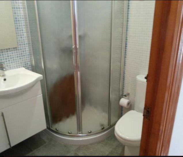Apartamento En La Playa De San Jose-Sjjc Δωμάτιο φωτογραφία